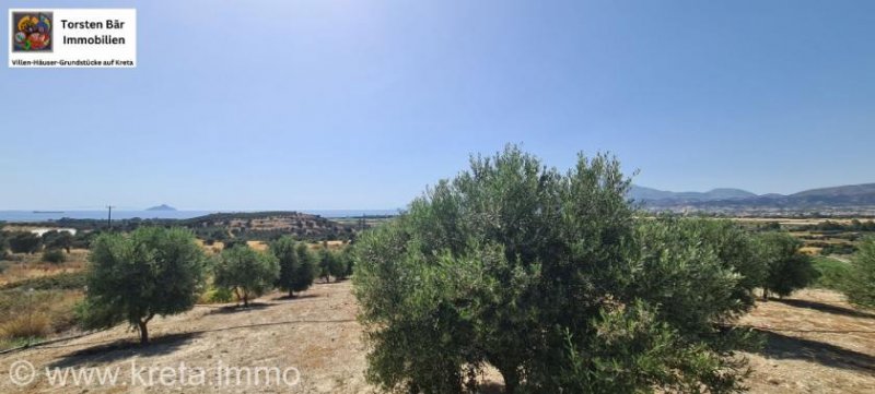 Kamilari Traumhaftes Grundstück mit 360° Panoramablick auf das lybische Meer und den höchsten Berg Kretas, den Psiloritis Grundstück